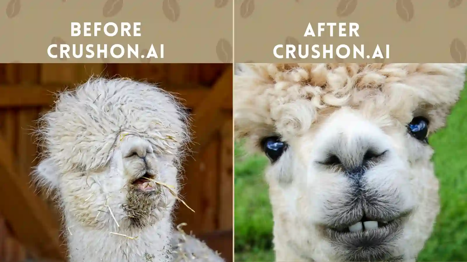 CrushOn.AI - Before and After