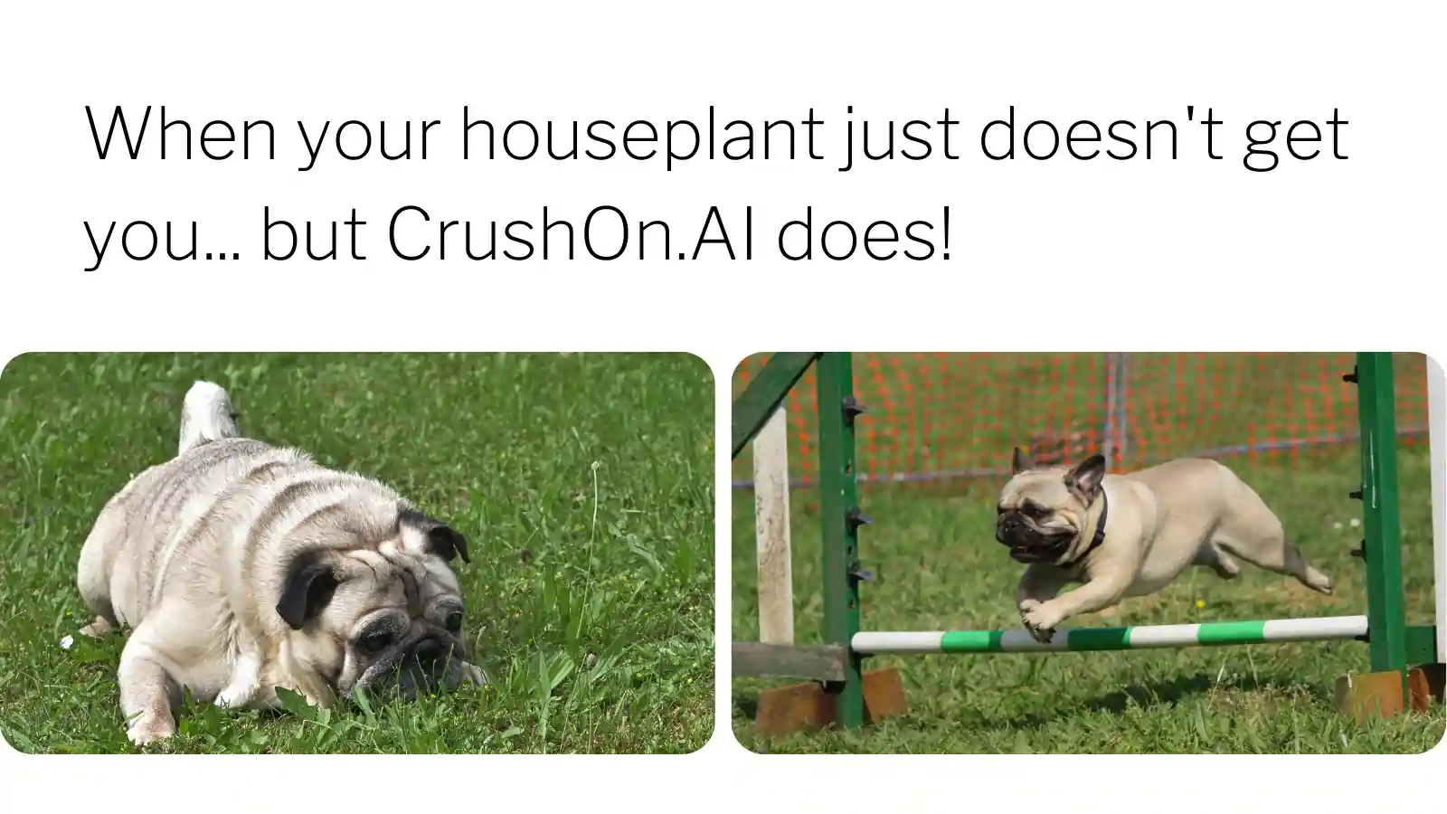 CrushOn.AI Meme