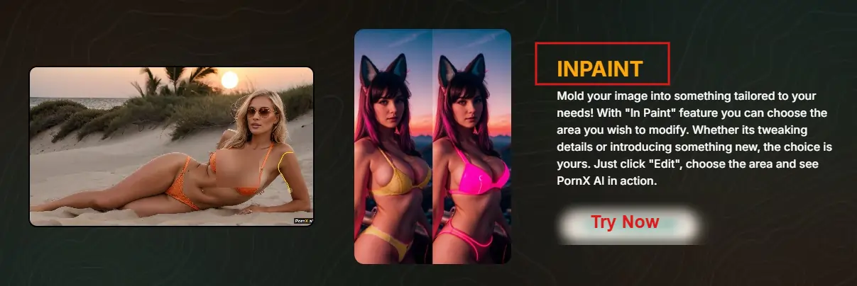 PornX - Inpainting Feature