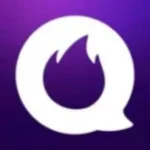 Flipped.Chat logo